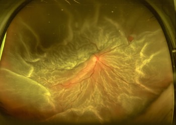 dr